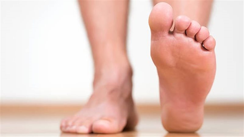 عين السمكة، فيتو