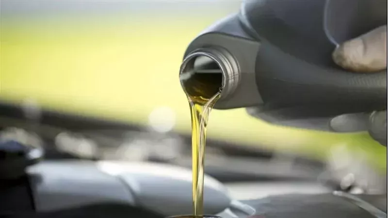 ارتفاع اسعار زيوت