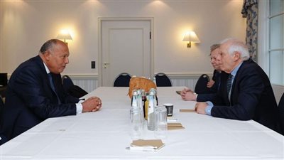 شكري وبوريل يؤكدان حرصهما على تحقيق انفراجة في الوضع المتأزم بغزة 