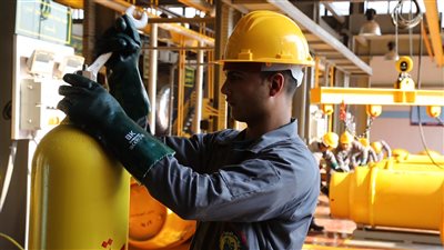 معلومات الوزراء تكشف خريطة توزيع معلمي التعليم الفني في مصر (إنفوجراف)