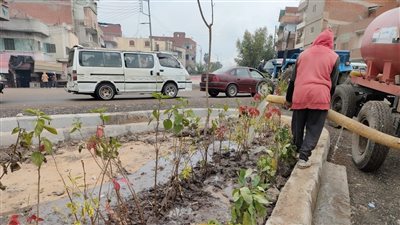 محافظ الغربية يتابع جهود المدن لزراعة الأشجار المثمرة والزينة بالطرق والحدائق (صور)