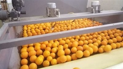 تركيا تنضم لقائمة أكثر الدول استقبالا للصادرات الغذائية المصرية