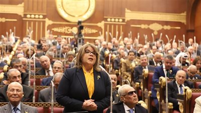 وكيلة الشيوخ تطالب الحكومة بكشف خطة استغلال حملات المقاطعة لدعم المنتج المحلي