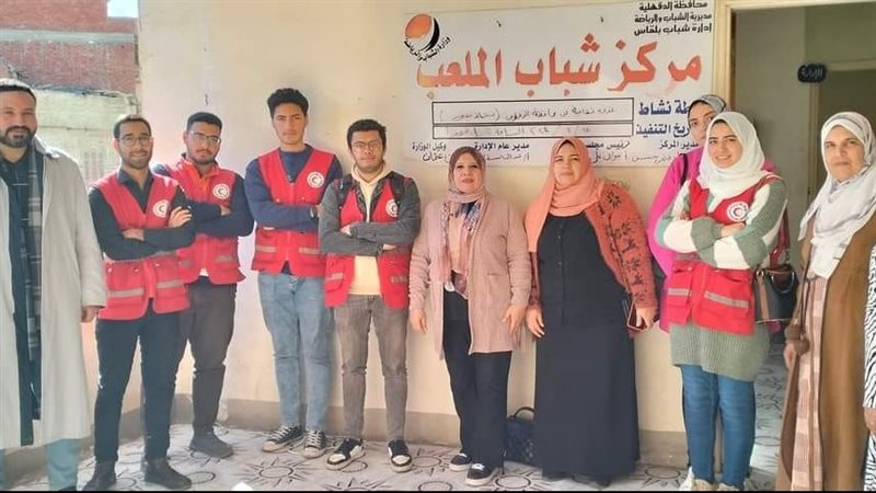 تضامن الدقهلية، فيتو
