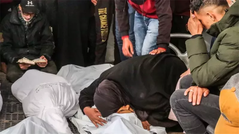 ضحايا غزة، فيتو 