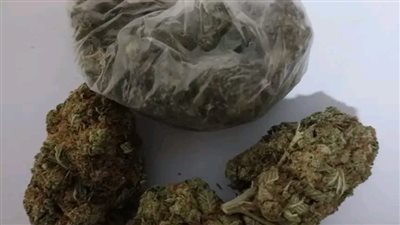 جمارك مطار الغردقة تحبط تهريب حشيش وماريجوانا مع بريطاني وبلجيكي