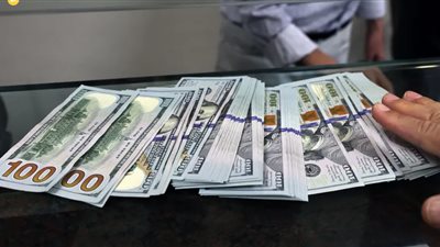 سعر الدولار مقابل الجنيه في بداية تعاملات اليوم الإثنين 19 فبراير 2024