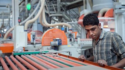 بعد مقترحات لجنة القوى العاملة، كيف يمكن تشجيع الشباب للالتحاق بالعمل في القطاع الخاص؟