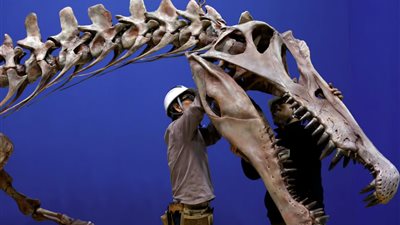 اكتشاف حفريات في المغرب تساعد في بناء فرضيات حول الديناصورات خلال العصر الطباشيري