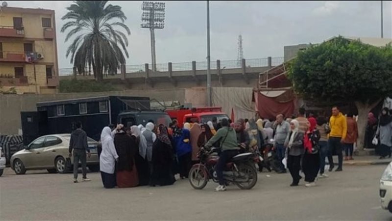 تموين القليوبية،