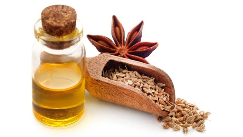 اليانسون وفوائده،