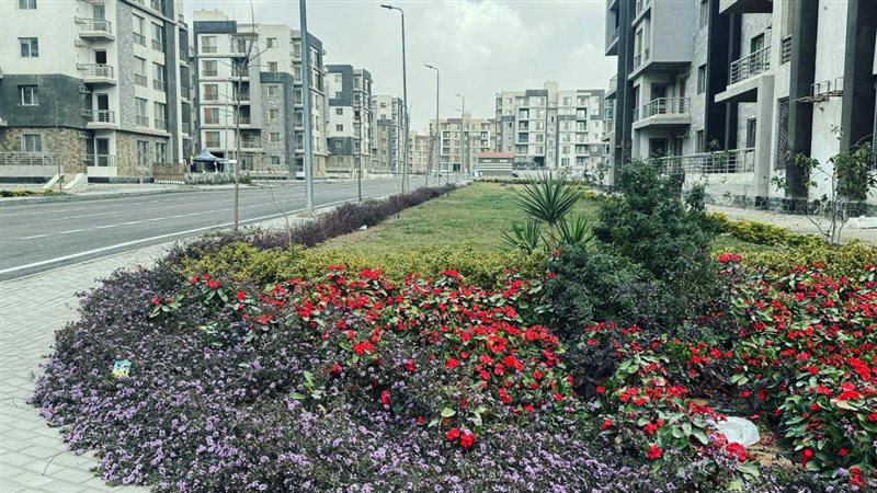 شقق الإسكان، فيتو