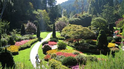 تفسير رؤية الحديقة في المنام وعلاقتها بمراجعة النفس والتقرب من الله 