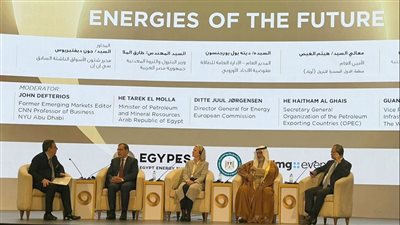 وزير البترول: التحول الطاقي وخفض الانبعاثات يضمن انتقال طاقوى سريع وعادل
