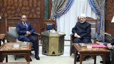 الطيب: مستعدون لإنشاء مركز أزهري لتعليم اللغة العربية في كمبوديا