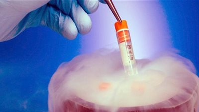 شريان حياة لعائلات الجنود القتلى.. أوكرانيا تلجأ لـ 