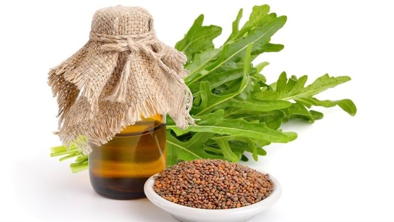 فوائد زيت الجرجير،