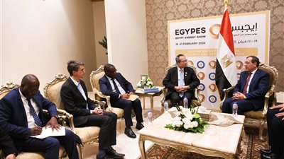 وزير البترول يبحث مع البنك الدولى تجربة توصيل الغاز الطبيعى للمنازل