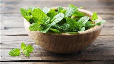 فوائد النعناع، يقضي على نزلات البرد والإنفلونزا ويخفض الضغط ويقوى المناعة 