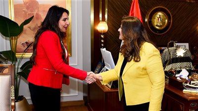 سها جندي: إعداد حملة ترويجية خلال 2024 ضد الهجرة غير الشرعية