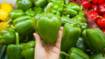  فوائد الفلفل الأخضر، يعزز صحة القلب ويقوى المناعة 