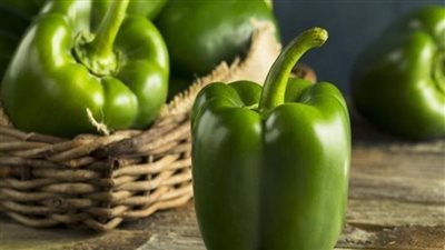 فوائد الفلفل الأخضر، يقوى المناعة ويخفض الكوليسترول ويحارب السرطان