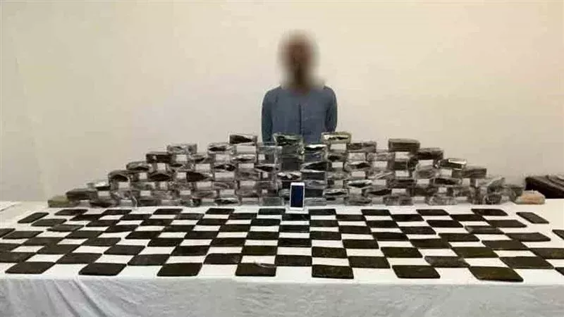 حشيش، فيتو