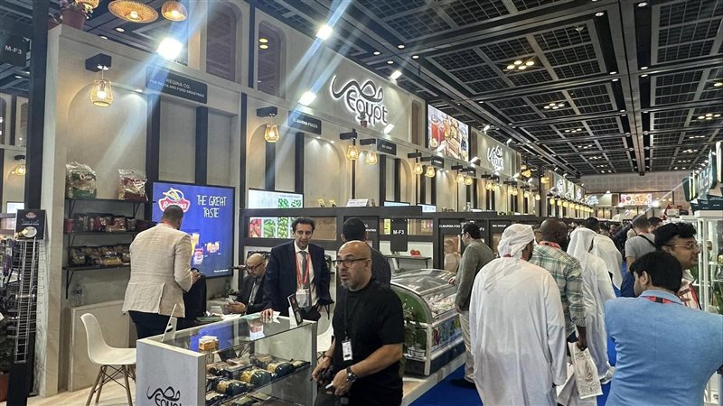 المشاركة المصرية،فيتو