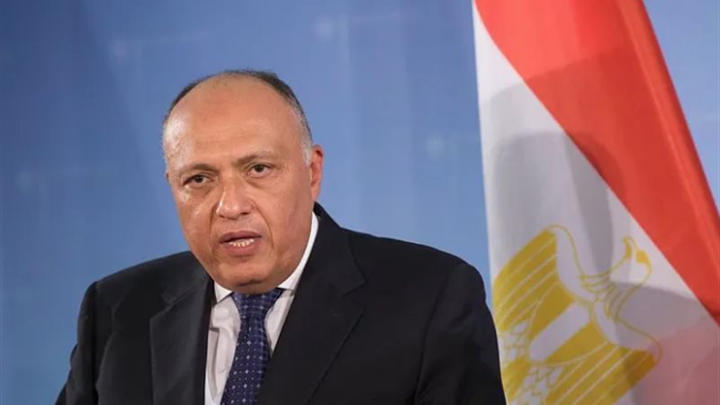سامح شكري، فيتو 