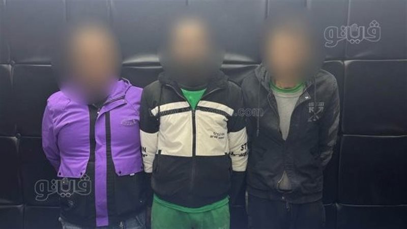 ضبط تشكيل عصابى،فيتو