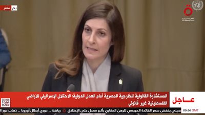 مصر أمام العدل الدولية: مجلس الأمن فشل في وقف إطلاق النار بغزة (فيديو)