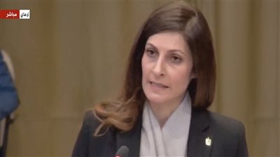 مصر أمام العدل الدولية: إسرائيل تعمدت إحداث تغييرات ديموغرافية بالأراضي الفلسطينية (فيديو)