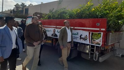 ضمن مبادرة 100 مليون شجرة.. شمال سيناء تتسلم 106 آلاف شجرة 