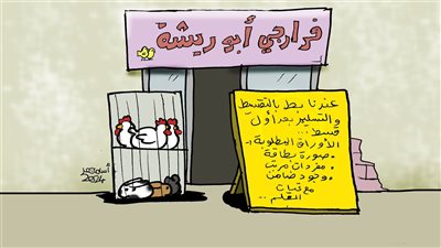 لما تشوف سعر البط