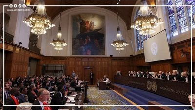 مهمة ضد الاحتلال فى لاهاي، أسماء الفريق المصري أمام محكمة العدل الدولية