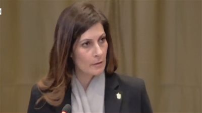 تفاصيل مرافعة مصر أمام العدل الدولية.. الفلسطينيون يواجهون عقابا جماعيا على مدار 75 عاما.. وإسرائيل تواصل ارتكاب المجازر في غزة وتفرض سياسة الحصار والتجويع 