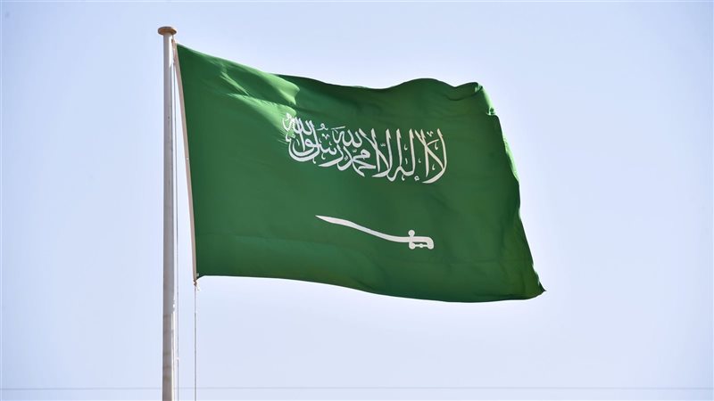 السعودية، فيتو