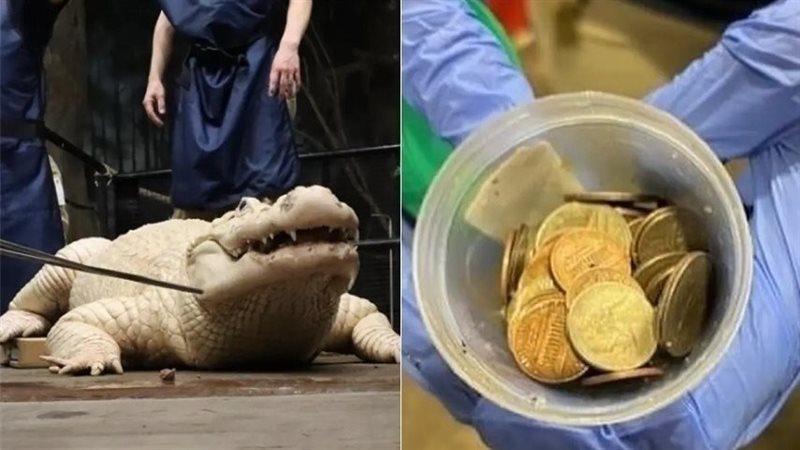 استخراج 70 قطعة نقدية
