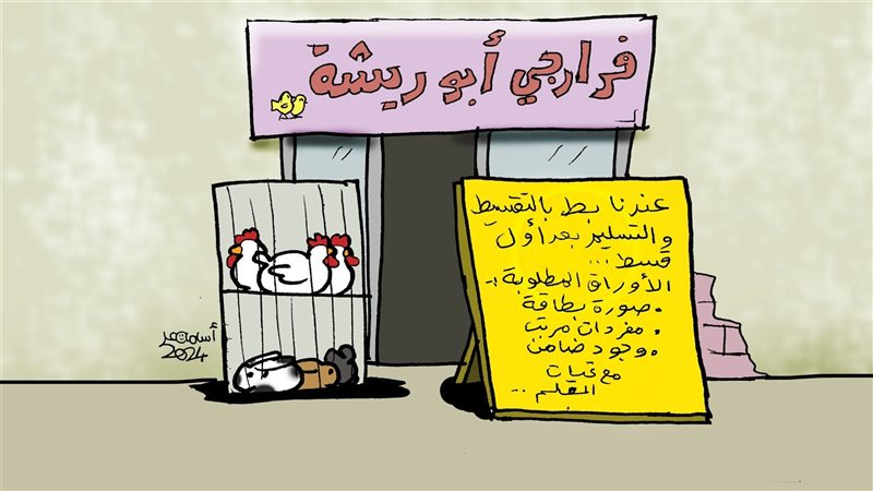 لما تشوف سعر البط،