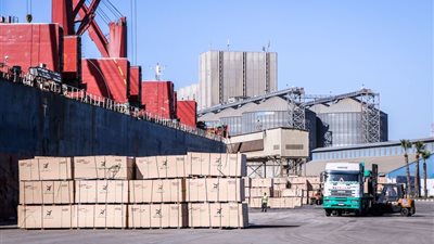 مصر تتسلم 7 آلاف طن قمح وزيت عبر ميناء دمياط خلال 24 ساعة 