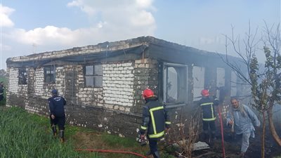 نفوق 6 آلاف كتكوت في حريق بمزرعة دواجن بالبحيرة (صور)