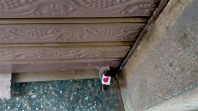 تشميع 7 مراكز دروس خصوصية في دمنهور بالبحيرة