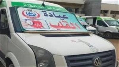 أساتذة قلب وجراحات الأطفال في قافلة طبية مجانية بمستشفى الخارجة بالوادي الجديد 