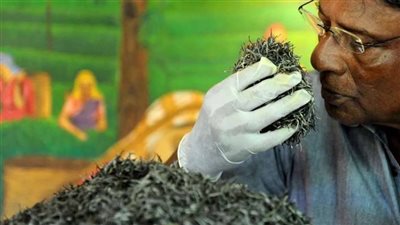 صفقة مزاج، سريلانكا تسدد ديونها من النفط الإيراني بالشاي