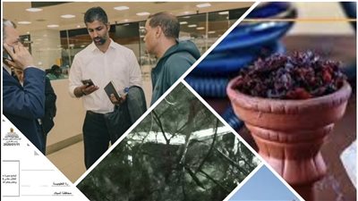 أخبار مصر: العناية الإلهية تنقذ ركاب قطار الصعيد، حادث دموي بالدقهلية، أسعار المعسل الجديدة، كواليس حادث طائرة الأهلي