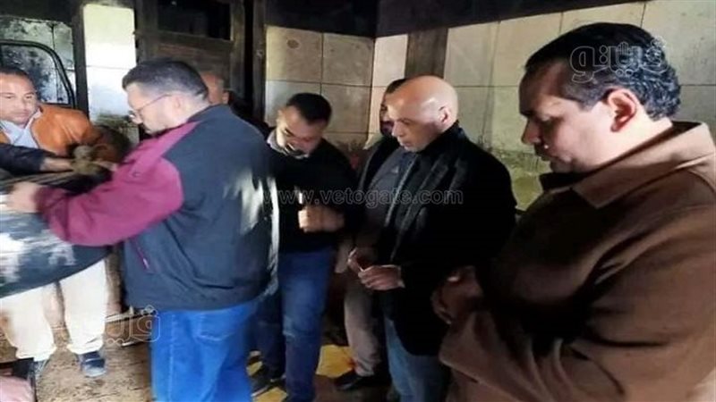 ضبط دجاج مجمد ومتبل