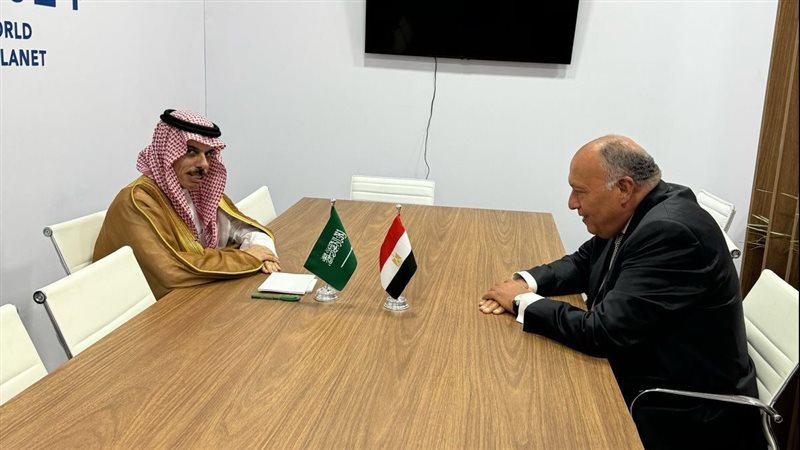 سامح شكري وزير الخارجية