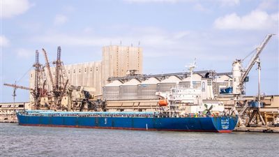 مصر تتسلم 48 ألف طن قمح لصالح هيئة السلع التموينية عبر ميناء دمياط 