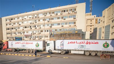 بيت الزكاة والصدقات: توزيع 67 ألف كرتونة مواد غذائية في 8 محافظات 
