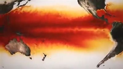 تحديد درجة الحرارة المثالية لجميع أشكال الحياة على الأرض